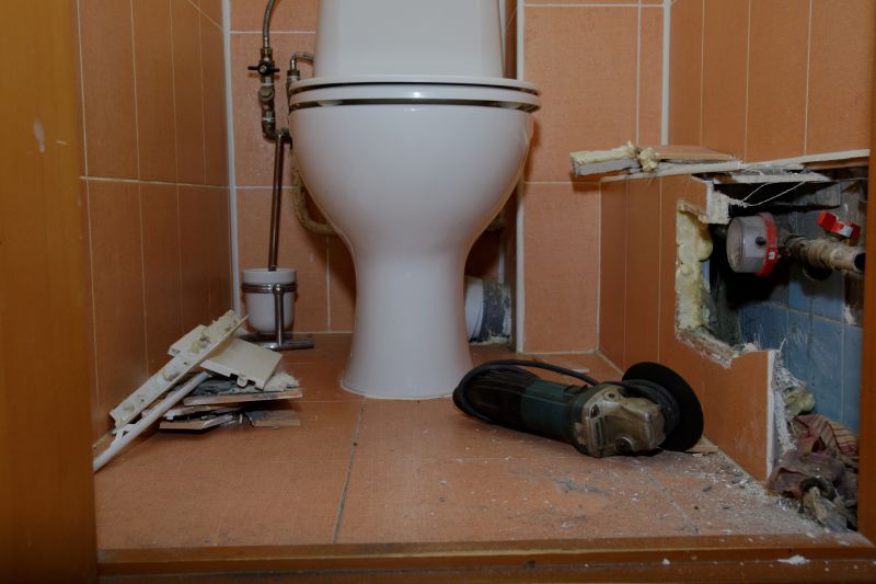 Broken Toilet Repair