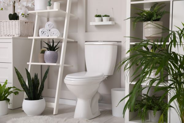 Cost of Toilet Repair in Anaheim