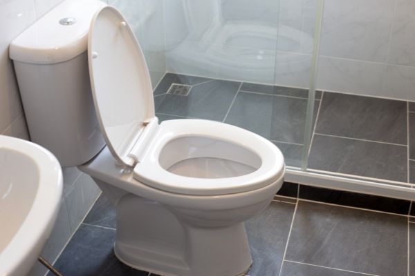 Toilet Replacement in Anaheim
