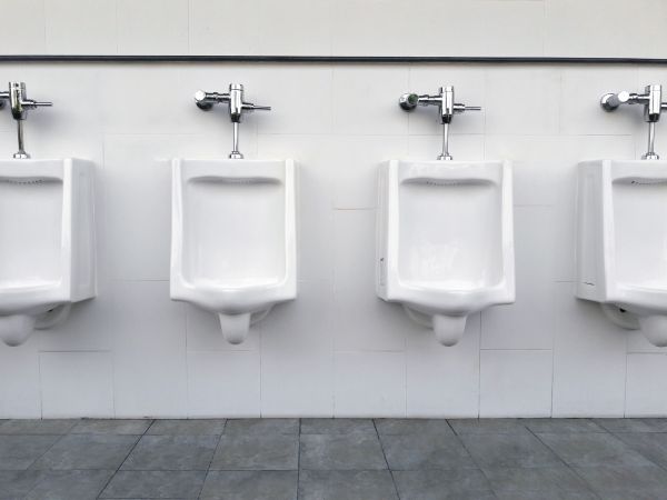 Urinal Assembly