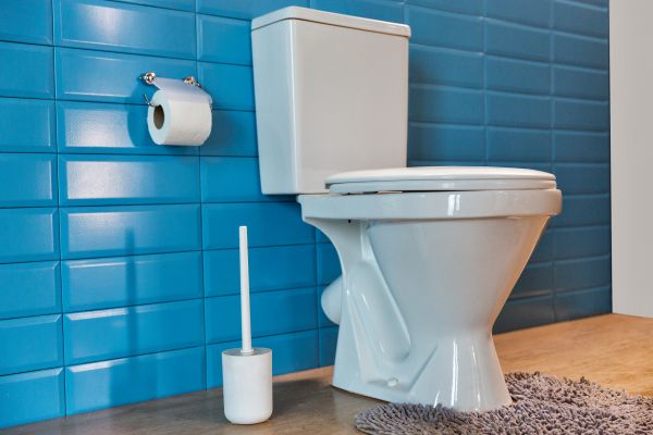 Cost of Toilet Tank Repair in Anaheim