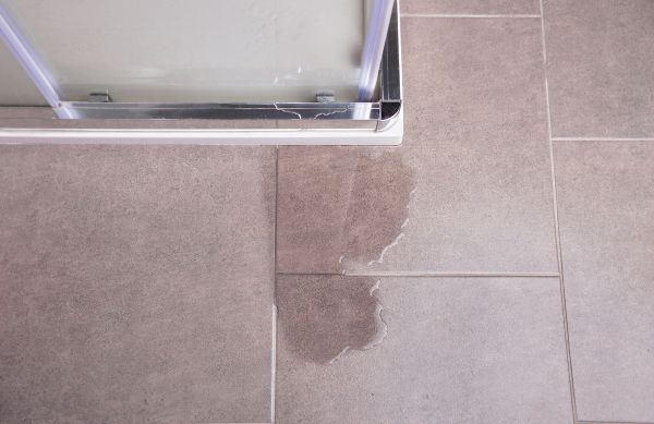 Shower Leak Detection