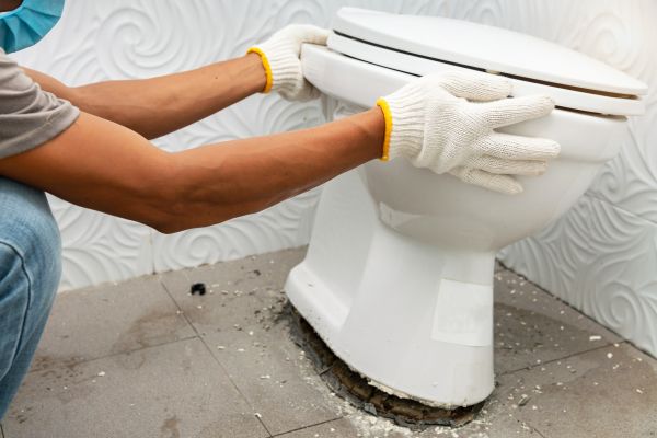 Cost of Toilet Removal in Anaheim