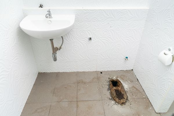 Toilet Disposal