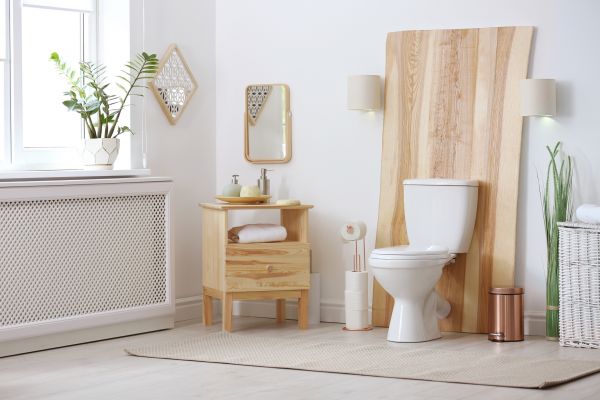 Toilet Fixture Replacement