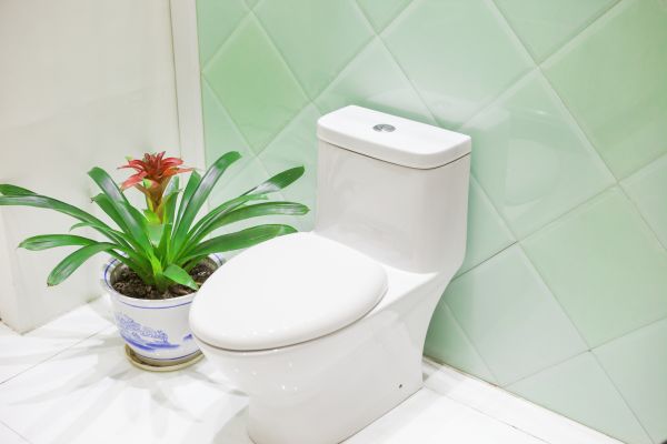 Toilet Fixture Installation